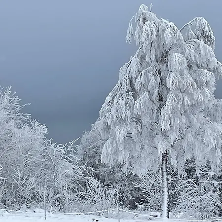 Apartament Feldhaus 14