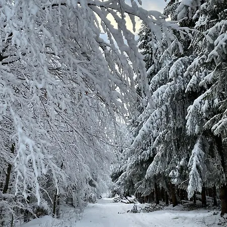 Apartament Feldhaus 14