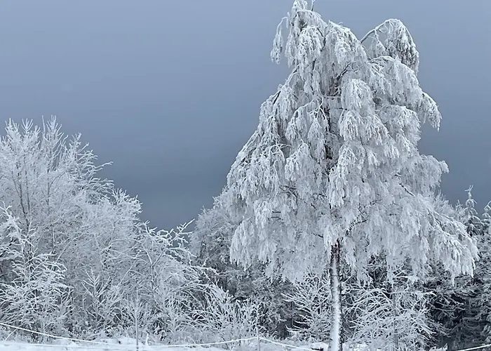 Apartamento Feldhaus 14