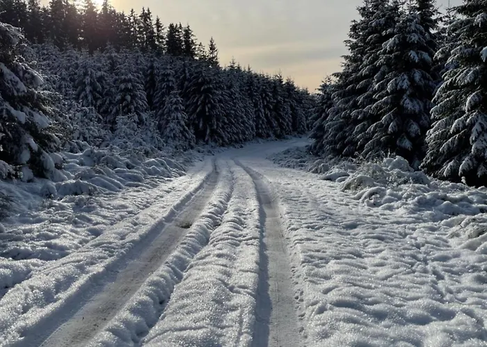 Apartmán Feldhaus 14