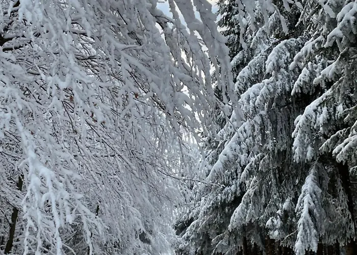 Apartmán Feldhaus 14